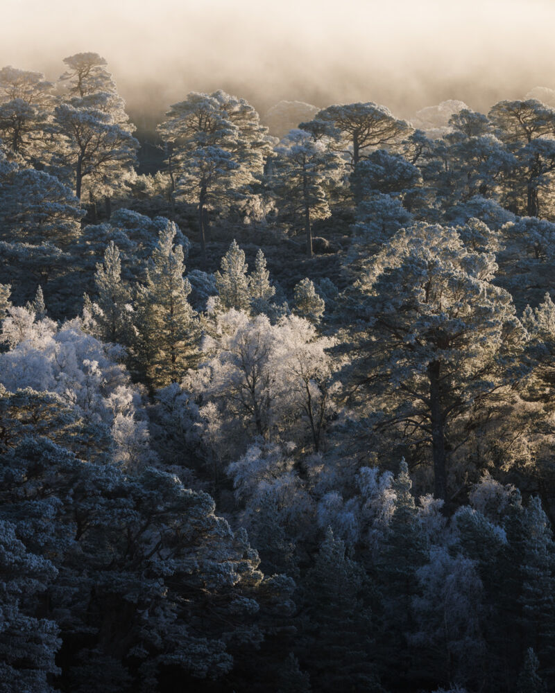 Image for the Tweet beginning: We’ve loved collaborating with @mnl_photo