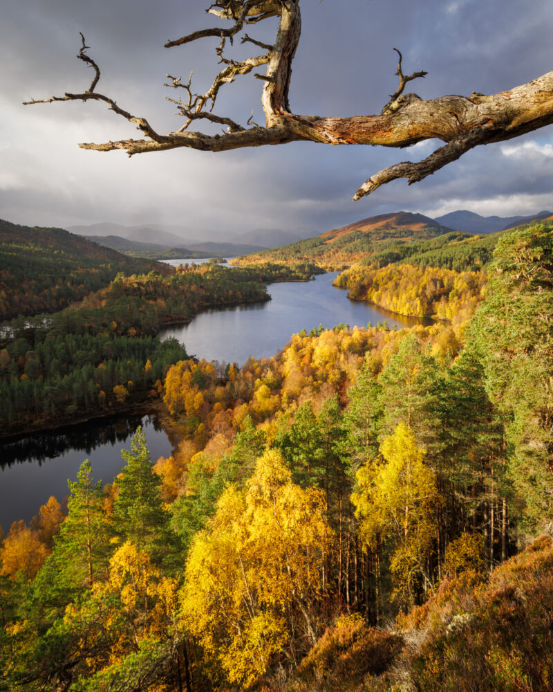 Image for the Tweet beginning: We’ve loved collaborating with @mnl_photo