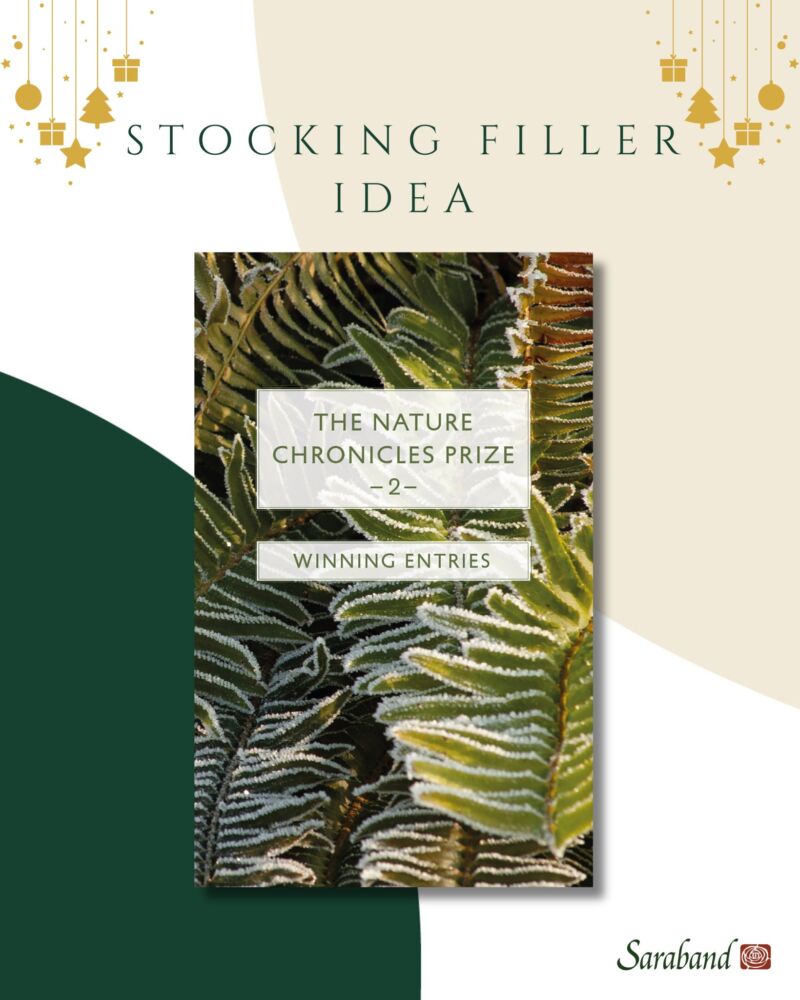 Image for the Tweet beginning: Our friends at @SarabandBooks have