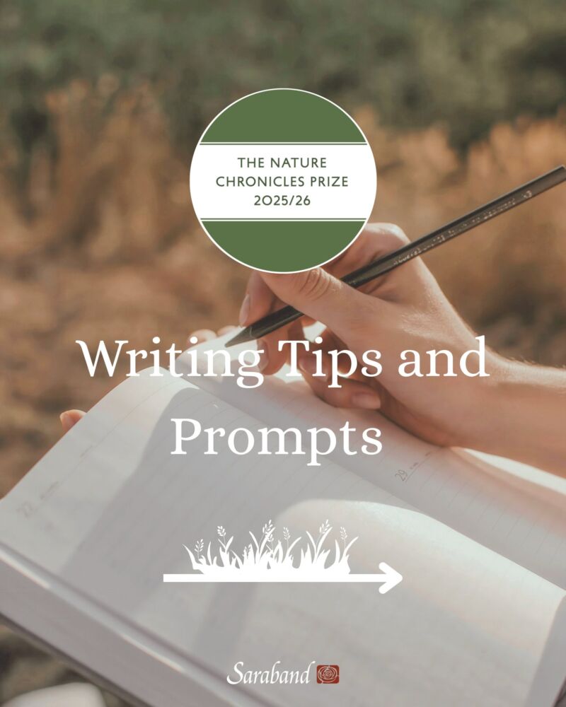 Image for the Tweet beginning: Interested in submitting to the