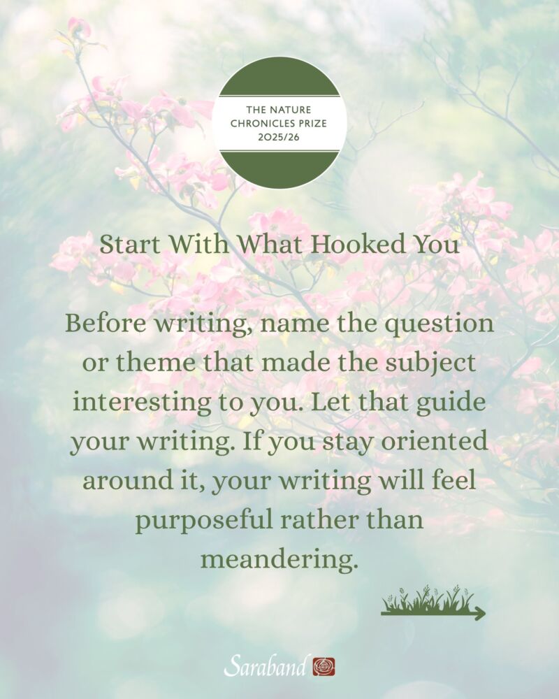 Image for the Tweet beginning: Interested in submitting to the